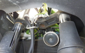 KAWASAKI NINJA 250 SL