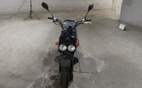 HONDA ZUMAR AF58