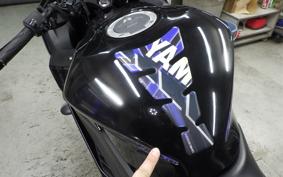 YAMAHA YZF-R25 2022 RG43J