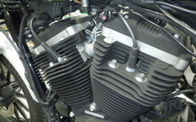 HARLEY XL883N 2009