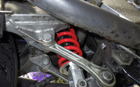 KAWASAKI ZZ-R250 2023 EX250H