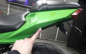 KAWASAKI NINJA 250 EX250L