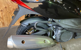 SUZUKI SKYWAVE 250M CJ45A