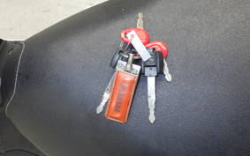 YAMAHA CYGNUSｸﾞﾘﾌｧｽ 2020 SEJ4J