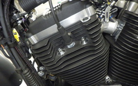 HARLEY XL883N 2017