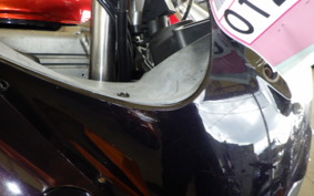 KAWASAKI ZZ-R250 EX250H