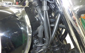 KAWASAKI W800 2022 EJ800E