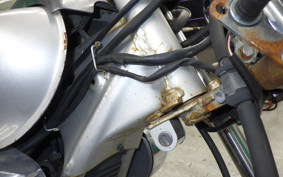 HONDA MAGNA 50 2024 AC13