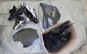 KAWASAKI ZX-4R SE 2023 ZX400P