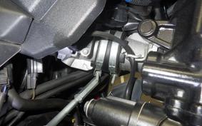 SUZUKI Vｽﾄﾛｰﾑ250SX 2022 EL11L