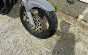 HONDA HORNET 250 MC31