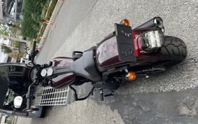 HARLEY FXLRS 2021 YWK