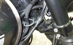 KAWASAKI W800 CAFE 2019 EJ800B