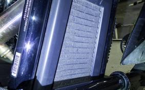 HARLEY FXLRST1920 2022