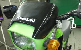 KAWASAKI SUPER SHERPA KL250G