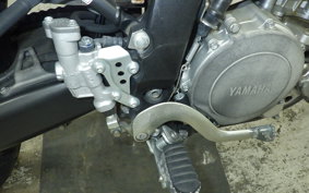 YAMAHA WR250X 2024