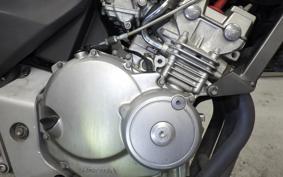 HONDA HORNET 250 MC31