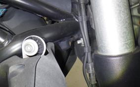 DUCATI MONSTER 821 2015