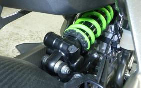 KAWASAKI ZX-4RR 2024 ZX400P