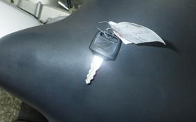 HONDA SOLO AC17