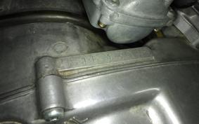 KAWASAKI 250SS 2010 S1F