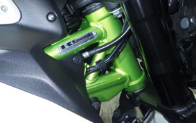 KAWASAKI Z900 Gen.2 2021