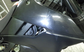 KAWASAKI KLX250D TRACKER X 2021 LX250V