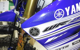 YAMAHA WR250R 2019 DG15J