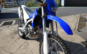 YAMAHA WR250R DG15J
