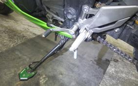 KAWASAKI NINJA 250 2009 EX250L