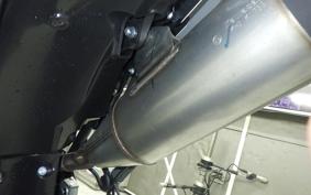 KAWASAKI KLX230 SM LX232A