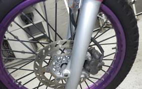 YAMAHA TT250R RAID 2009 4GY