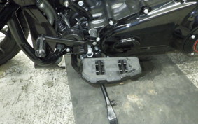 HARLEY FLTRXSTSE1980CVO 2024