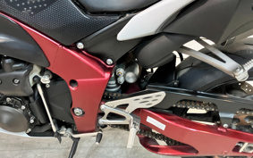 YAMAHA YZF-R1 2009 RN24J