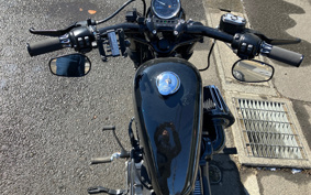 HARLEY HARLEY XL1200X 2020 LC3