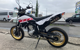 YAMAHA WR250X DG15J