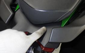 KAWASAKI NINJA H2 SX 2022