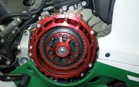 DUCATI 1299 PANIGALE R 2017