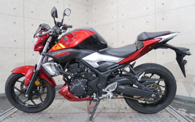 YAMAHA MT-25 RG10J