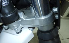 YAMAHA SEROW 250 Gen.3 DG31J