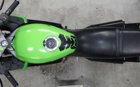 KAWASAKI ZZ-R250 EX250H