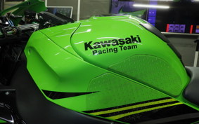 KAWASAKI ZX 10 NINJA ABS 2018