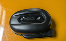 HARLEY XL883N 2015 LE2