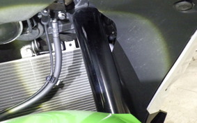 KAWASAKI ZX-4RR 2024 ZX400P