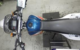 YAMAHA TT250R RAID 4GY