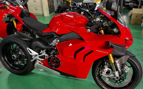 DUCATI PANIGA-REV4S 2021 1D00