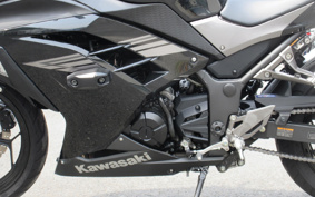 KAWASAKI NINJA 250 EX250L