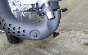 HONDA CRF110F 2019 JE02