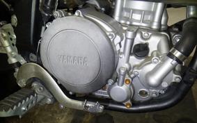 YAMAHA WR250X 2024