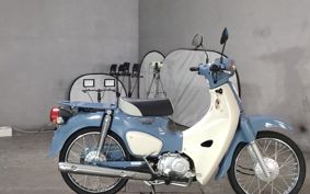 HONDA SUPER CUB50 AA09